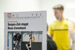 Versorgungsbeispiel Marco Reus – Borussia Dortmund